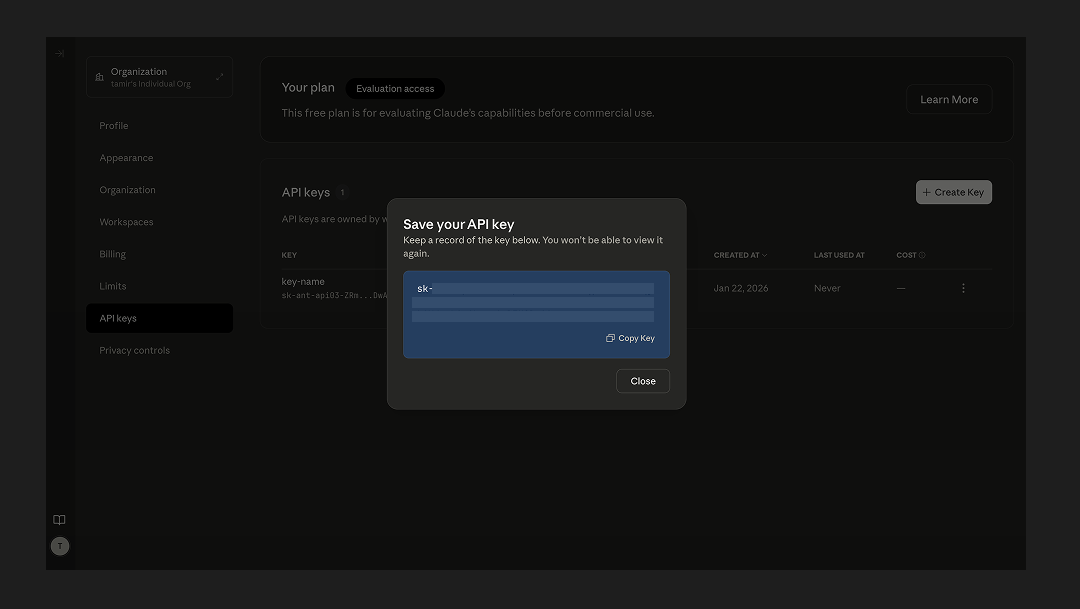 Save API key