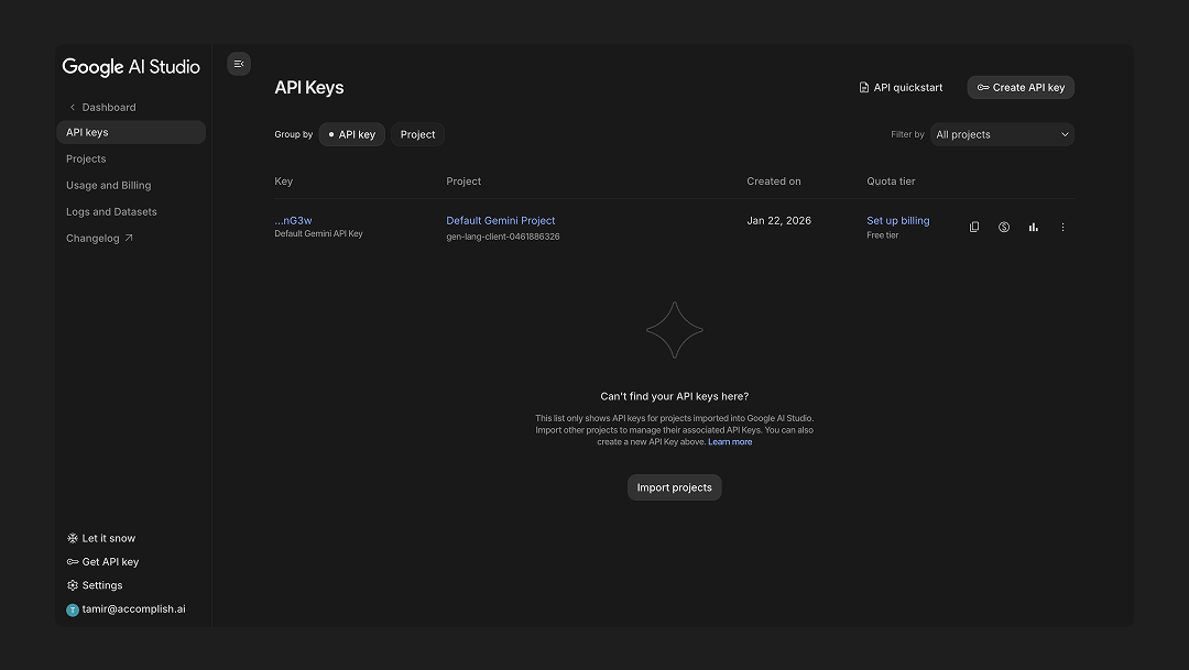 Google AI Studio API key page