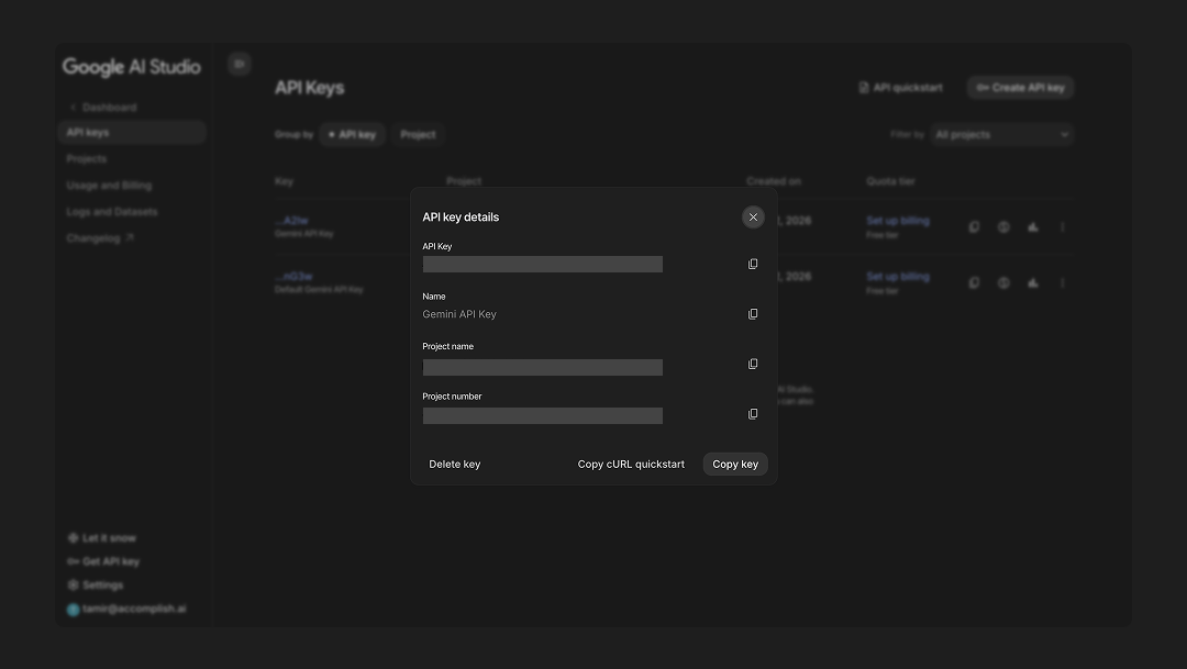 API details - copy the key